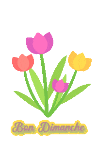 Gif animé Bon dimanche tulipe